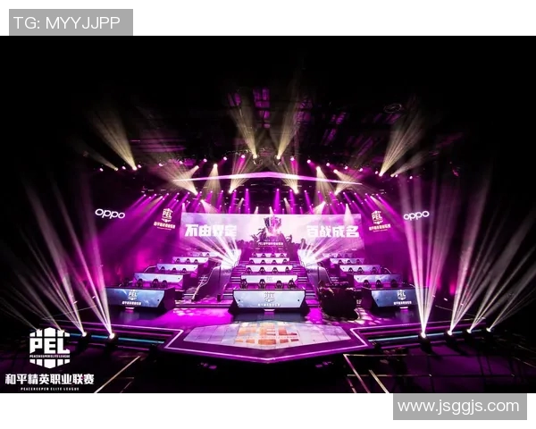 和平精英深入分析RNG战队区域防守策略与战术布局解析