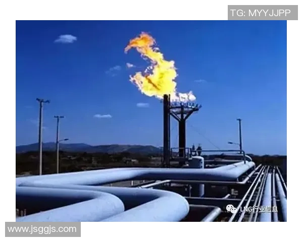 专业解析LNG战队快速进攻策略与战术运用全景分析实时数据 专业解析LNG战队快速进攻策略与战术运用全景分析实时数据