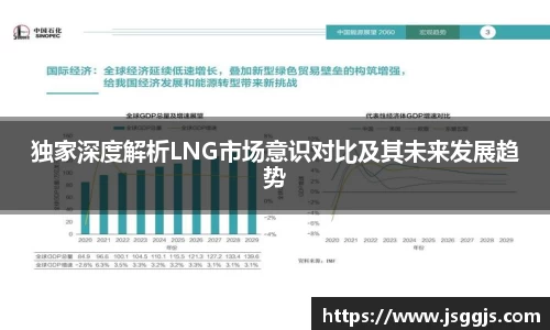 独家深度解析LNG市场意识对比及其未来发展趋势