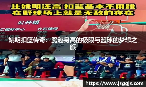 中欧体育