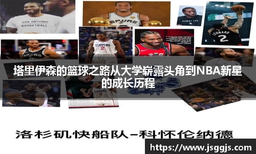 zoty中欧