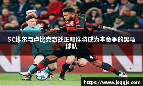 zoty中欧